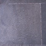 universiteit_utrecht_2