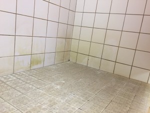 Nijmegen douches reinigen1
